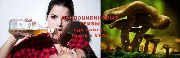 каннабис Дмитриев
