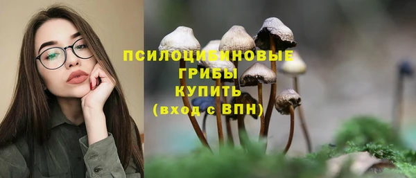 apvp Дмитровск