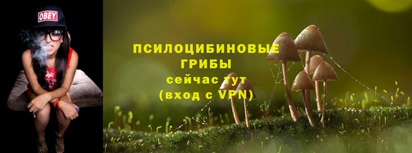 каннабис Дмитров