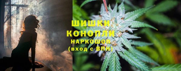 каннабис Дмитров