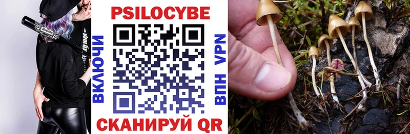 Псилоцибиновые грибы Psilocybe где купить наркотик Отрадный