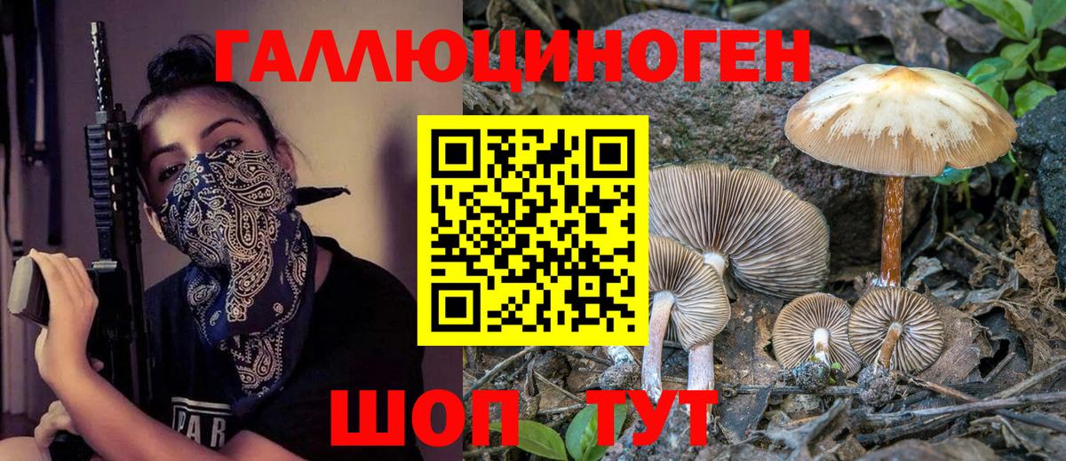 Галлюциногенные грибы прущие грибы  Вход с VPN  Отрадный 